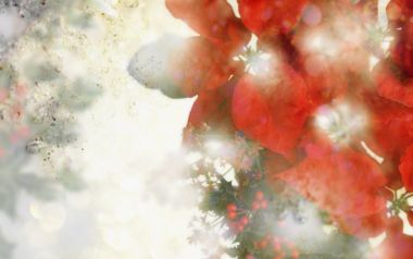 [wallcoo_com]_CG_seasons_winter_Christmas_HS164_89