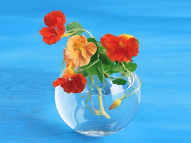 [wallcoo_com]_HQ-Hurb-Life-Images (41)