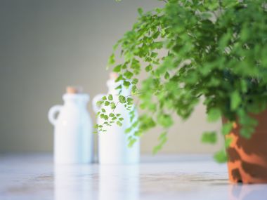 wallcoo.com_Interior_Lifestyle_da148006c