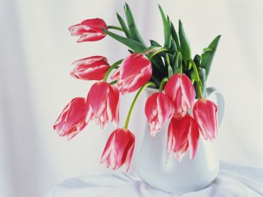 wallcoo.com_Interior_Lifestyle_da148020c