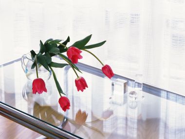 wallcoo.com_Interior_Lifestyle_da148025c