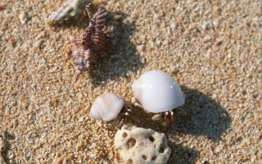 Wallcoo_com_Japan_Okinawa_sky_beach_Okinawa_JY190_350A