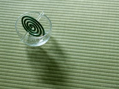 Wallcoo Com Japanese Still Life 1600 Gx122 350a