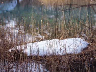 wallcoo.com_Snow_Winter_Scene_Snow_Covered_branches_MIL50018