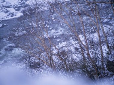 wallcoo.com_Snow_Winter_Scene_Snow_Covered_branches_MIL50034