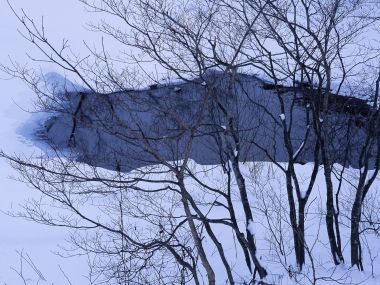wallcoo.com_Snow_Winter_Scene_Snow_Covered_branches_MIL50036