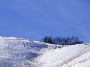 wallcoo.com_Snow_Winter_Scene_Snow_Covered_branches_MIL50043