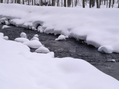 wallcoo.com_Snow_Winter_Scene_Snow_Covered_branches_MIL50049