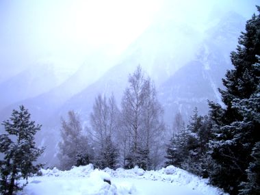 Winter Snowy Mountain And Forest Landscape
