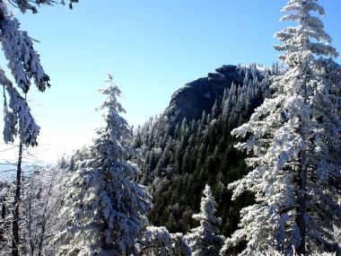 冬季雪山针叶林景观