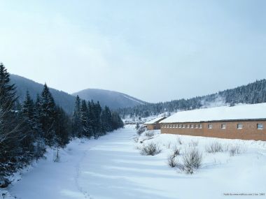 北欧雪地红砖房与针叶林