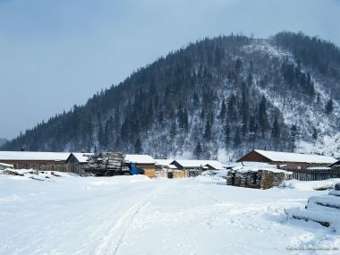 Snowy Forest Logging Village