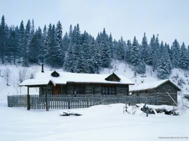 北欧森林中的雪地木屋