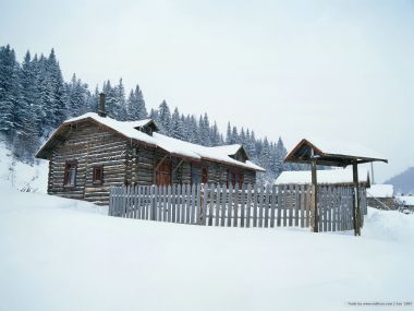 北欧雪地森林中的木屋