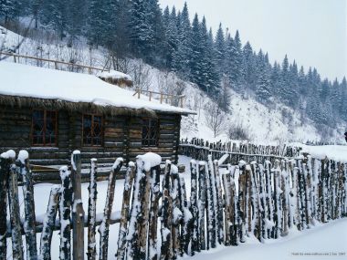 雪中木屋与针叶林景观