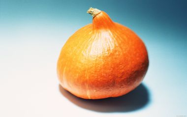 Winter squash, close-up
