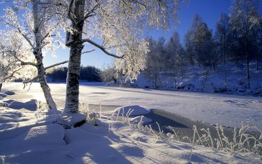 winter11