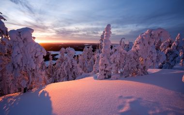 winter4