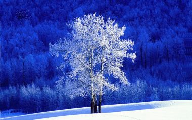 winter7