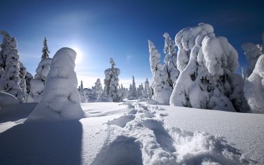 winter9