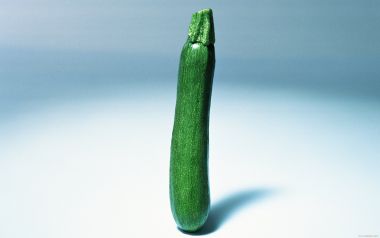 Zucchini, close-up