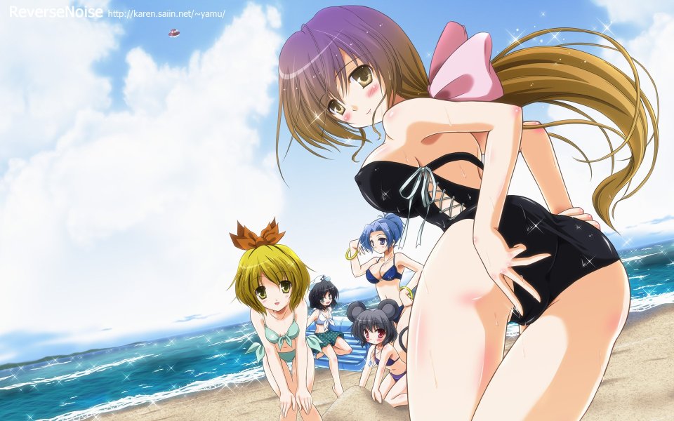 Touhou Project Swimsuit Beach Illustration