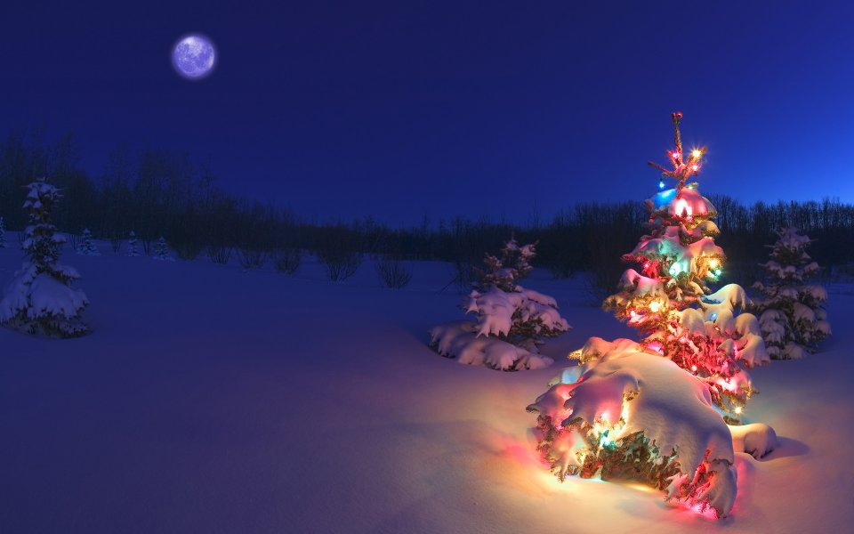 冬夜雪景中的圣诞彩灯树