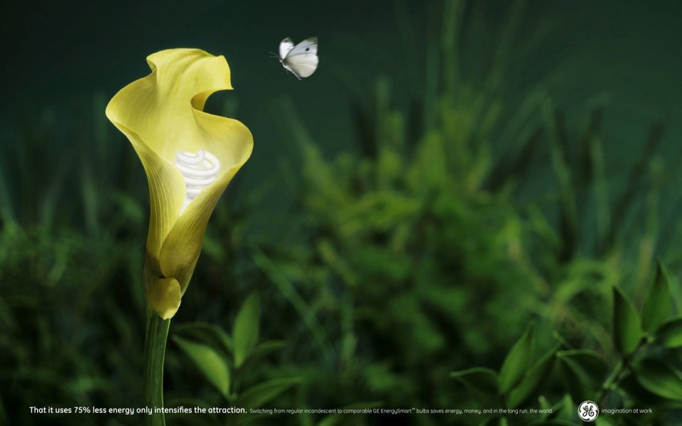 GE Energy Saving Bulb Ad Butterfly Flower
