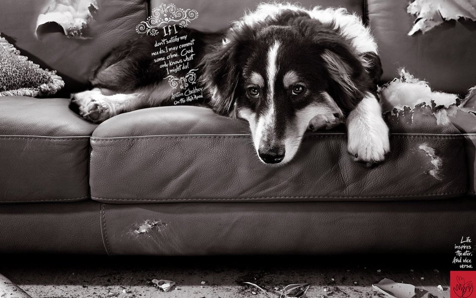 Guilty Dog Creative Advertising