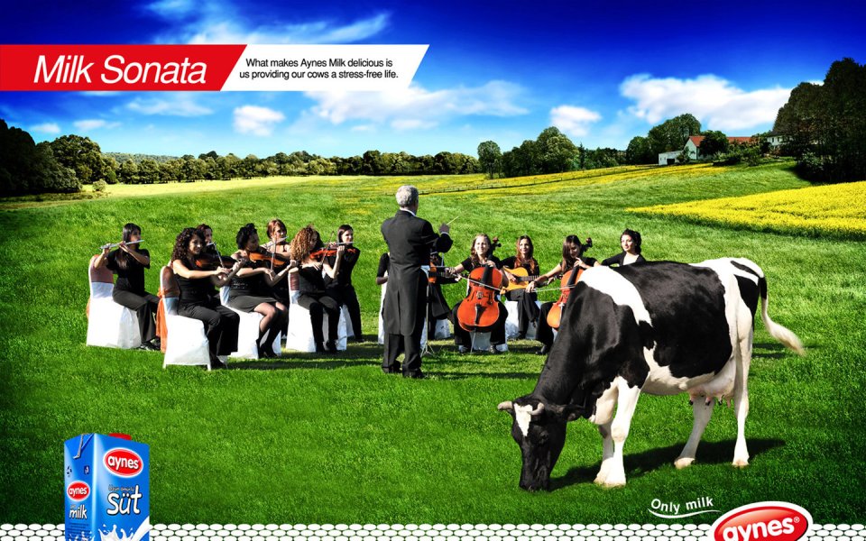 Aynes Milk Music Ad