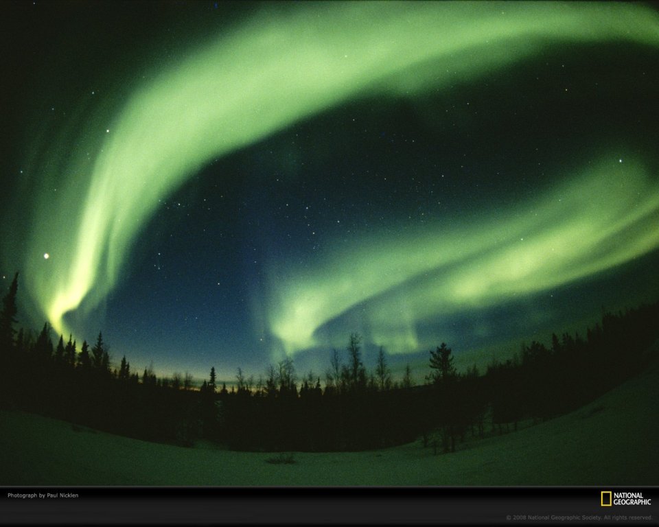 Life in Color: Green – Nature's Vital Hue