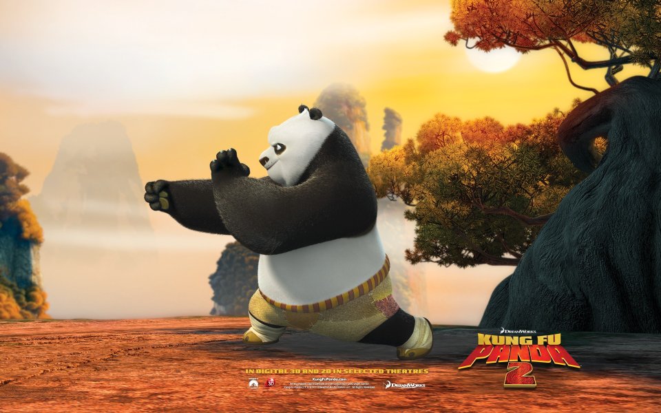 Kung Fu Panda 2 Movie Poster Panda Practice