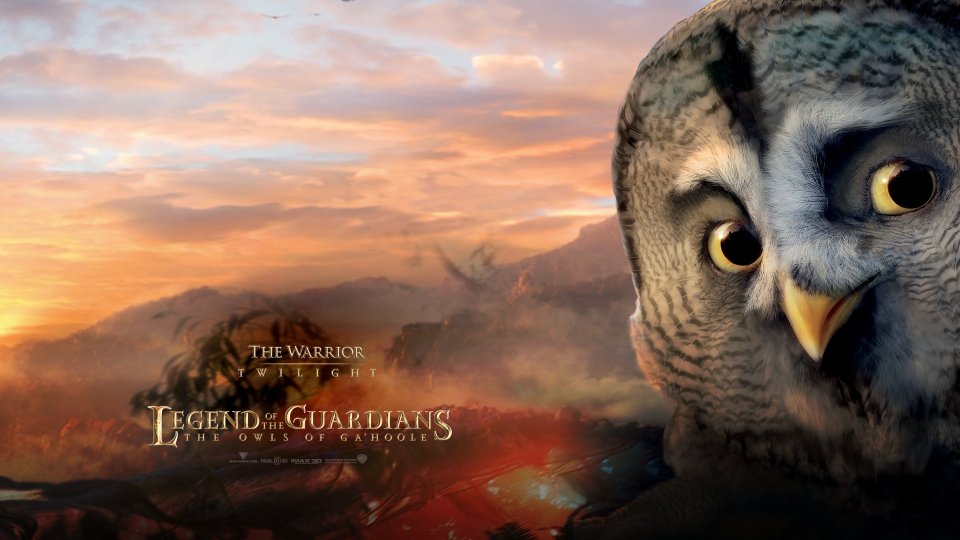 Guardians Twilight Warrior Owl Wallpaper