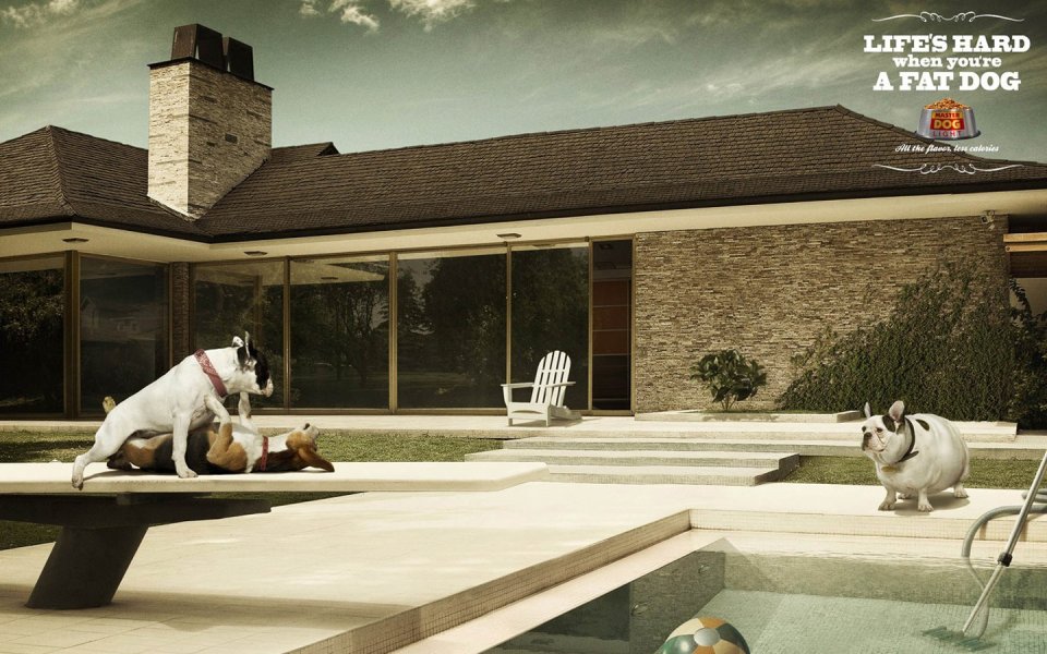 Fat Dog Club Pool Ad