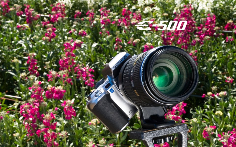 Olympus E 500 Camera In Flower Garden