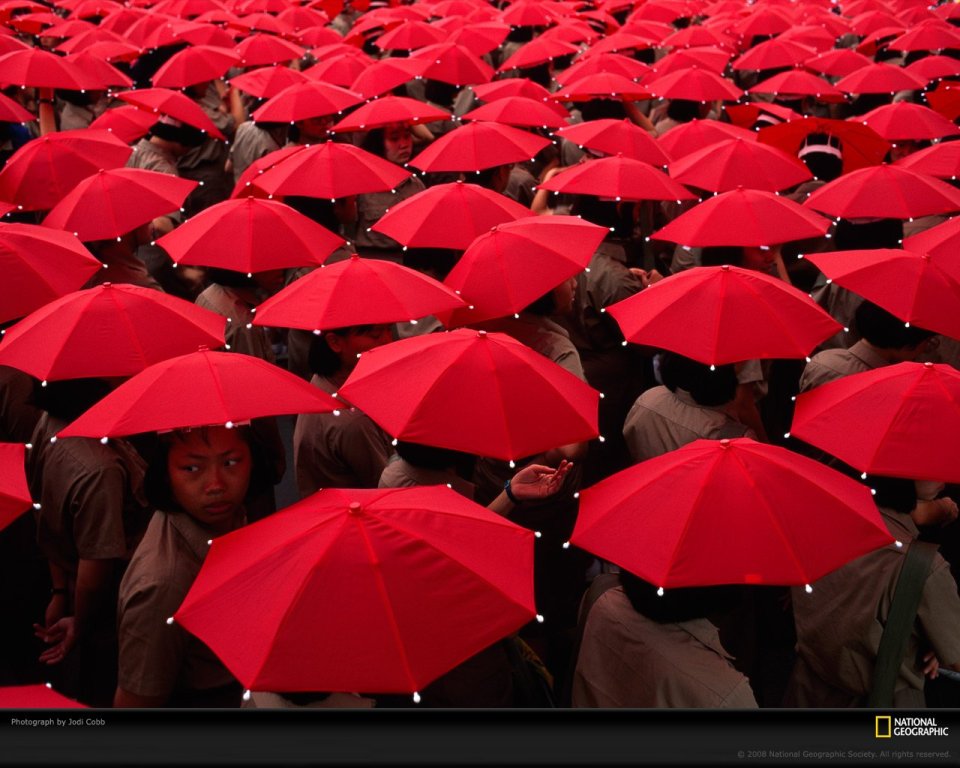 Red Umbrellas Crowd Event