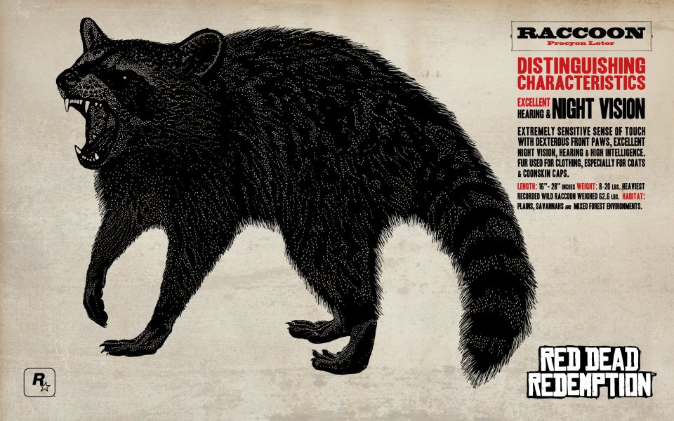 Red Dead Redemption Raccoon Guide