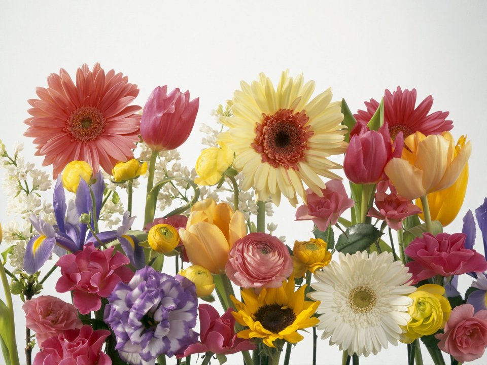 Spring Flower Arrangement Daisy Tulip