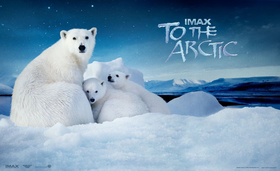 To the Arctic 3D: Polar Bear Family in the Frozen Wild