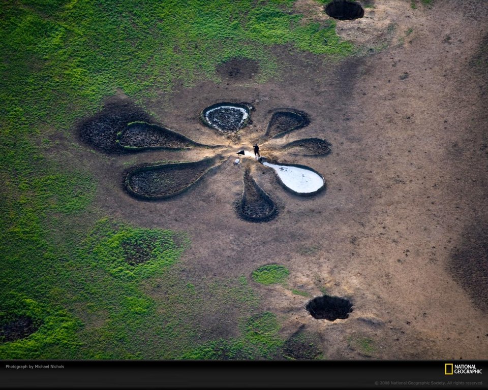 Aerial View Of Flower Art In Usa