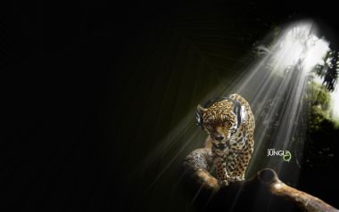 Jungle Leopard With Headphones In Light Beams