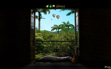 Audio Jungle品牌热带雨林阳台热气球壁纸