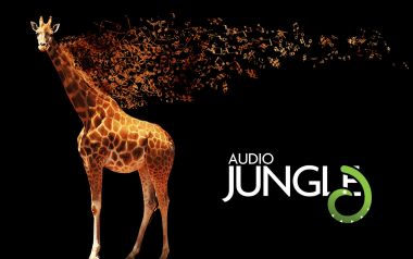 Giraffe Music Symbols Audio Jungle Design
