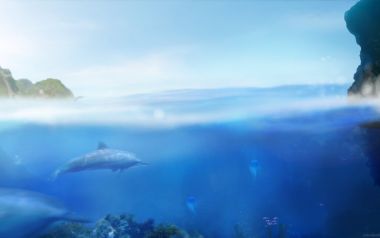 Dolphins Swimming In Blue Ocean