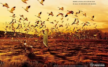 Brazil Education Ad Girl In Field With Blackboard And Birds