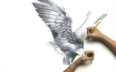 手绘老鹰艺术广告创意图