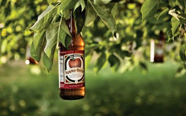 Apple Beer Bottle On Apple Tree