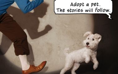 Heartwarming Pet Adoption Poster