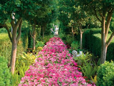 Fragrant Pathway European Garden
