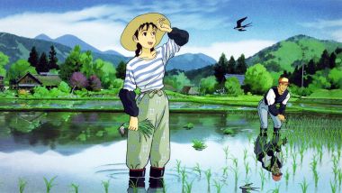 Ghibli Only Yesterday Rice Paddies Heartwarming Scene